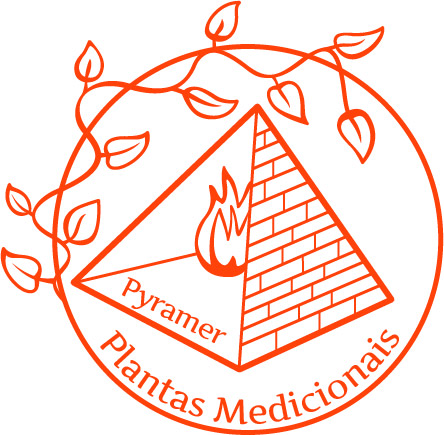 Logo Pyramer 1990